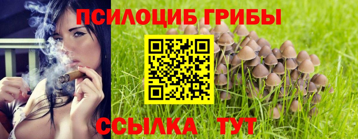 Псилоцибиновые грибы MAGIC MUSHROOMS Верхняя Салда